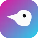 Ravenpost logo